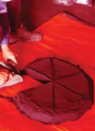 Hình ảnh giám định viên EIC làm việc ngoài dự án.