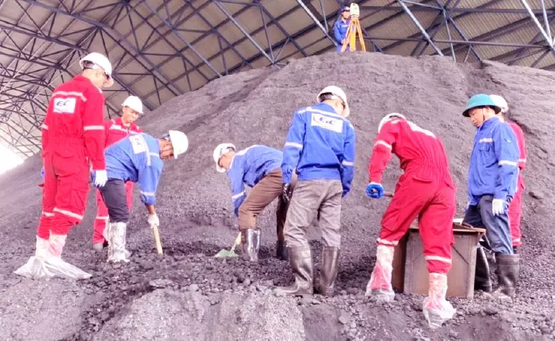 Hình ảnh các giám định viên EIC làm việc ngoài dự án.