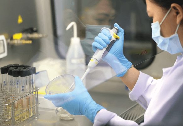 Giới thiệu dịch vụ phân tích thử nghiệm nhanh chóng - chuyên nghiệp - chính xác của công ty EIC.